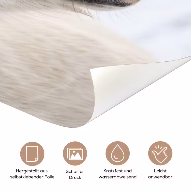 Paard - Kop - Winter - Dieren - Wit deurposter klein -tcloseup_DE