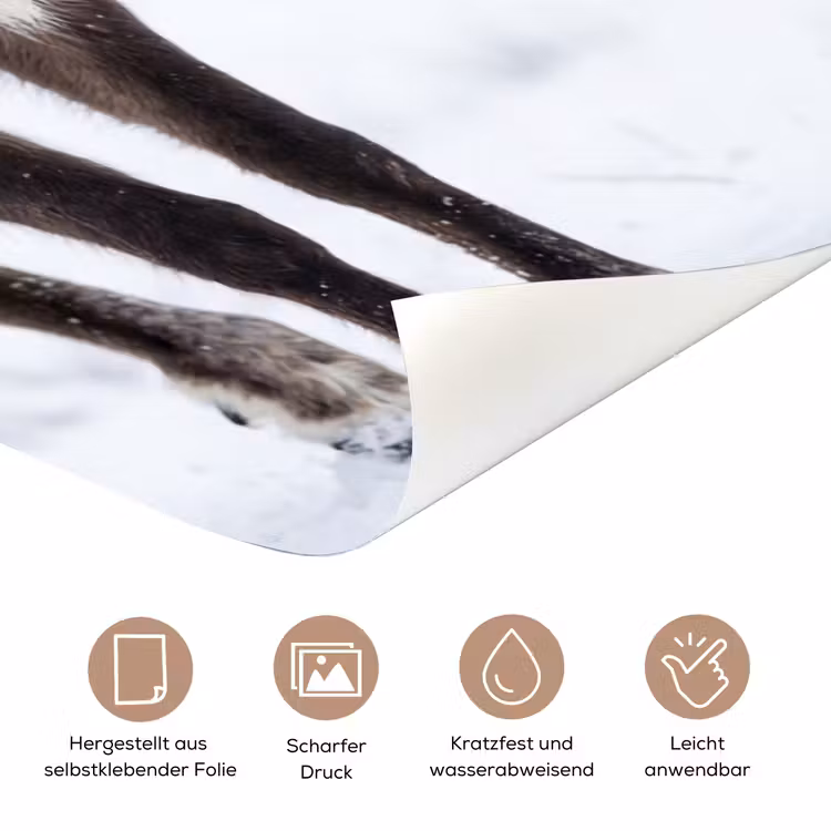 Rendier - Gewei - Toendra - Sneeuw - Wild deurposter klein -tcloseup_DE