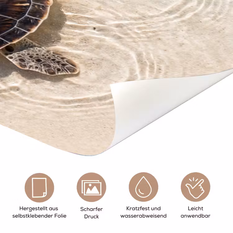 Schildpad - Helder water - Strand - Dieren - Natuur deurposter klein -tcloseup_DE