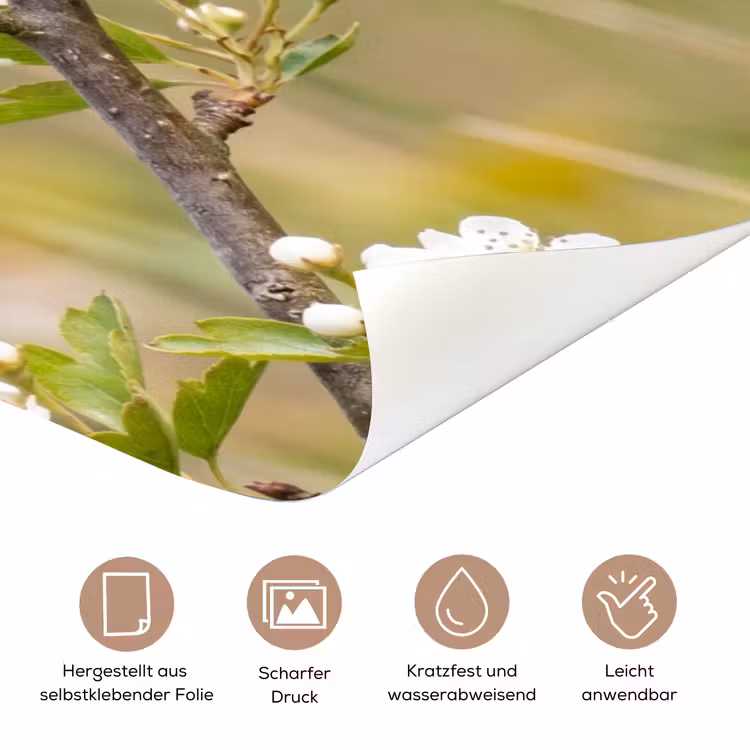 Putter - Bloesem - Lente - Natuur - Kleurrijk deurposter klein -tcloseup_DE