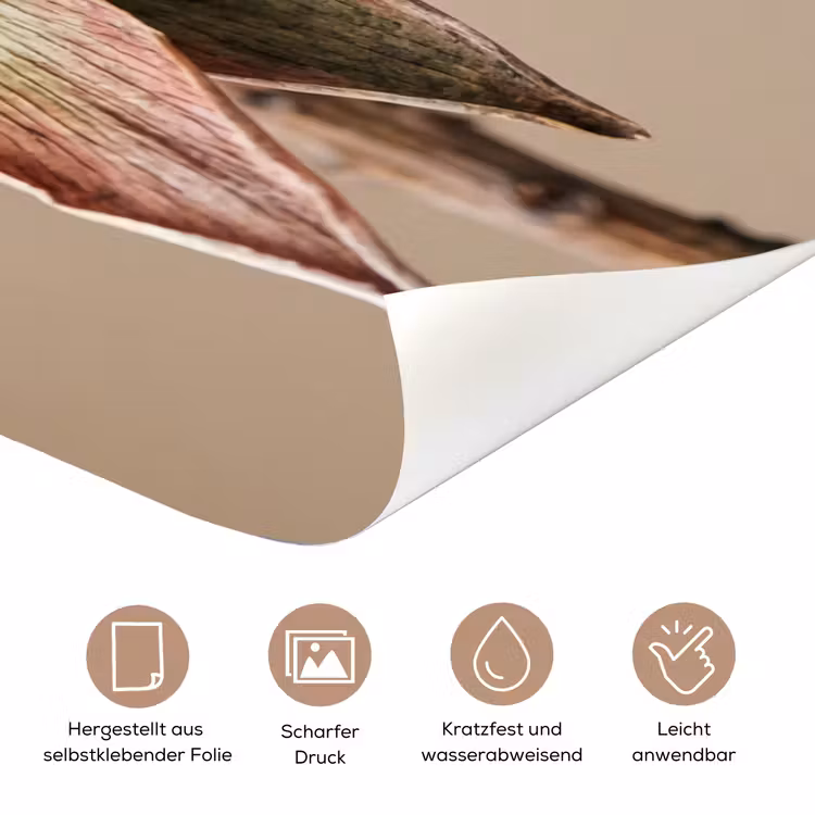 Droogbloem - Protea - Vintage - Beige - Rustiek deurposter klein -tcloseup_DE