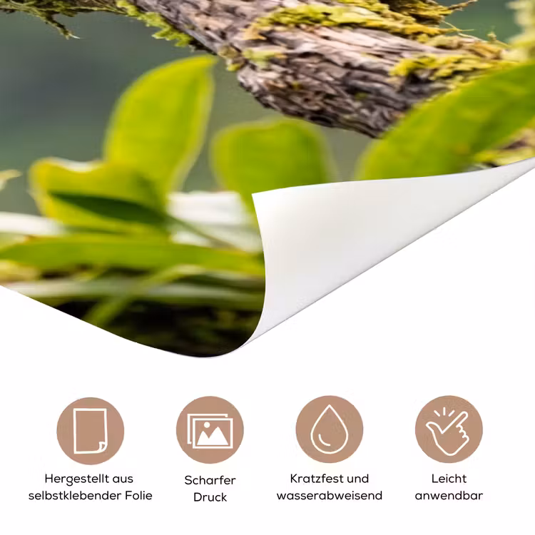 Toekan - Jungle - Natuur - Kleurrijk deurposter klein -tcloseup_DE