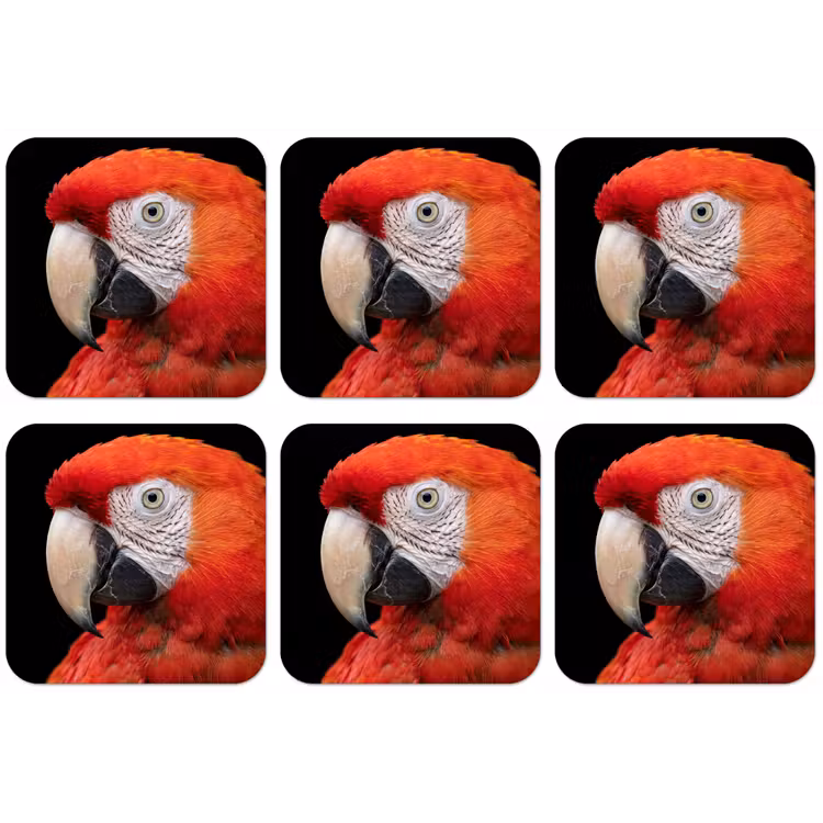 Ara - Portret - Rood onderzetter kurk middel -zkaufland3dotto