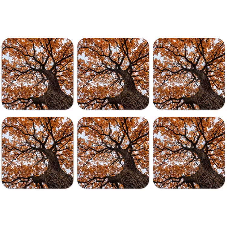 Boom - Bladerdak - Herfst - Oranje - Sfeervol onderzetter kurk middel -zkaufland3dotto