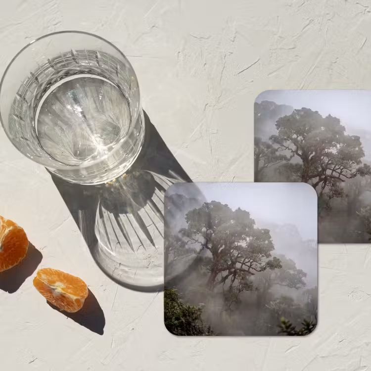 Boom - Mistig - Bos - Groen - Natuur onderzetter kurk middel -sfeer4