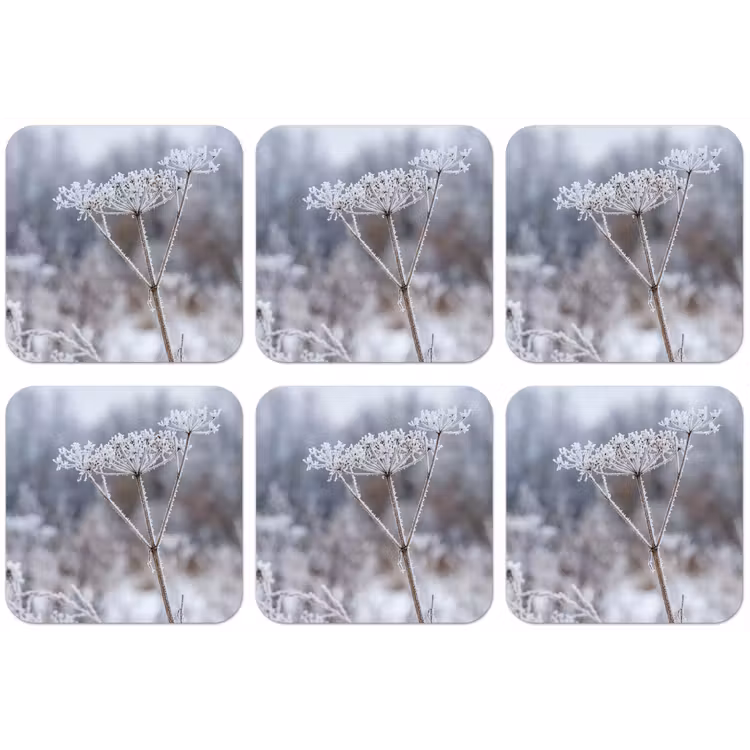 Schermbloem - Rijp - Kristallen - Winter - Delicaat onderzetter kurk middel -zkaufland3dotto