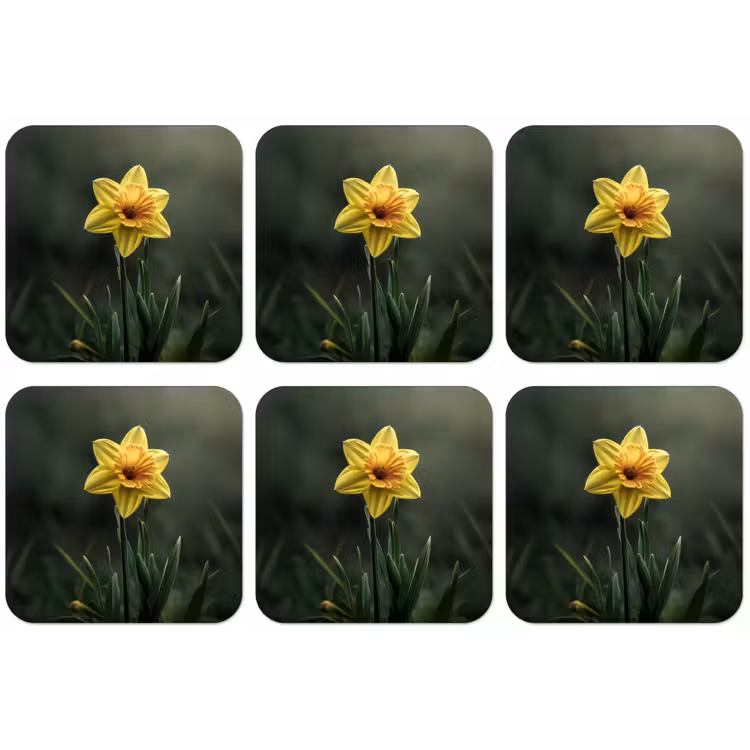Bloem - Narcis - Gras - Geel onderzetter kurk middel -zkaufland3dotto