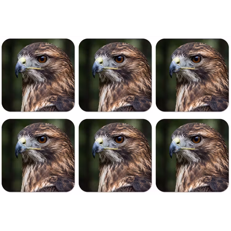 Buizerd - Roofvogel - Natuur - Bruin onderzetter kurk middel -zkaufland3dotto