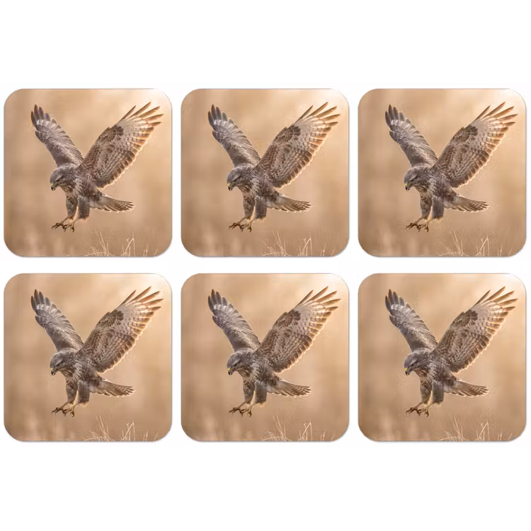 Buizerd - Roofvogel - Natuur - Bruin onderzetter kurk middel -zkaufland3dotto
