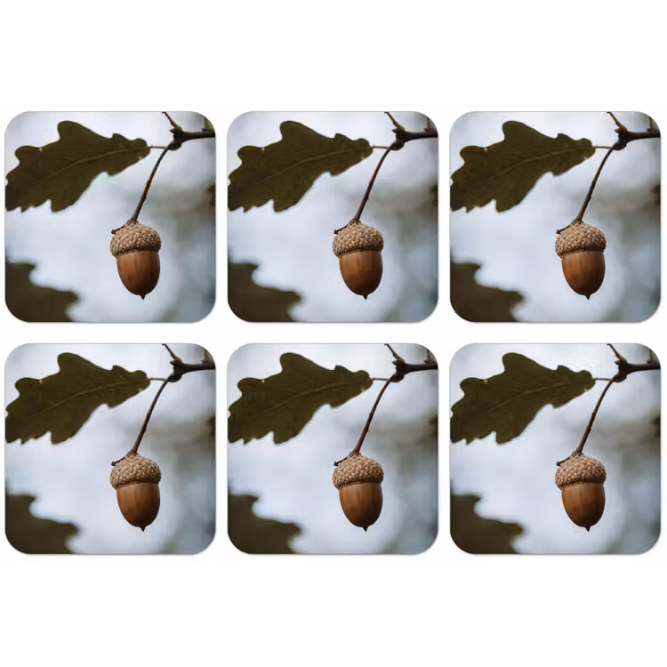 Eikel - Eikenblad - Bos - Herfst - Natuur onderzetter kurk middel -zkaufland3dotto