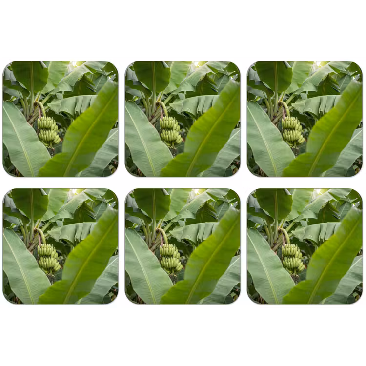 Eten - Bananen - Plantage - Groen onderzetter kurk middel -zkaufland3dotto