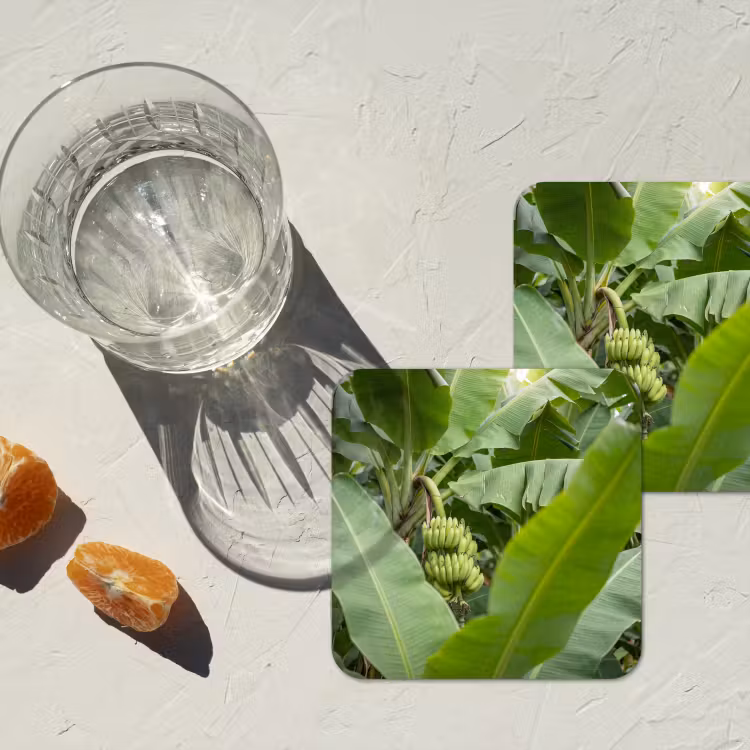 Eten - Bananen - Plantage - Groen onderzetter kurk middel -sfeer4