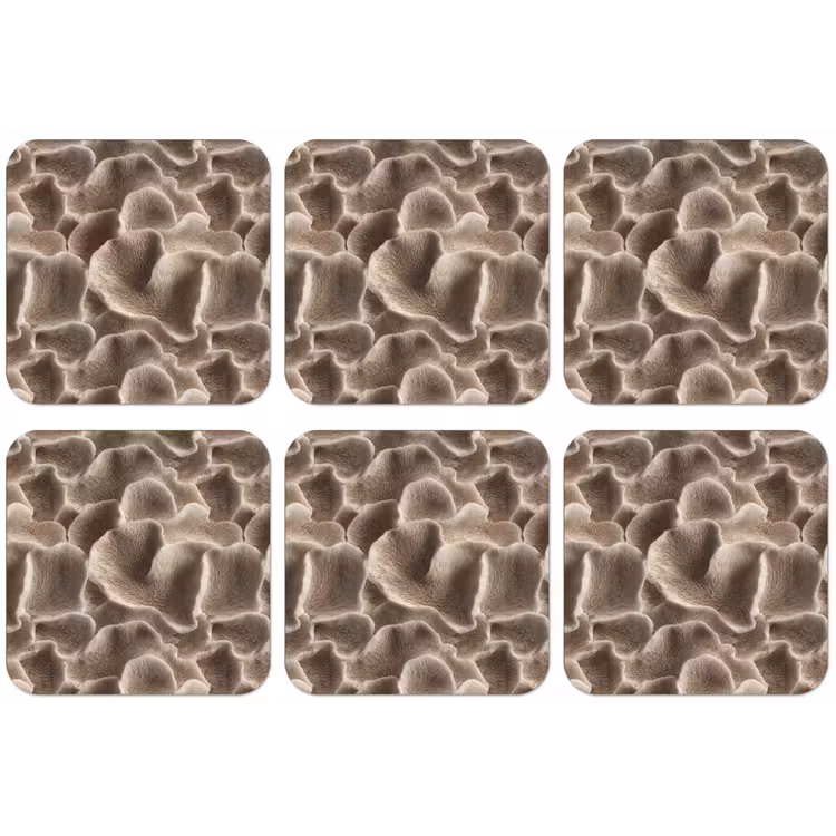 Waaiervorm - Beige - Vezel textuur onderzetter kurk middel 366 -zkaufland3dotto