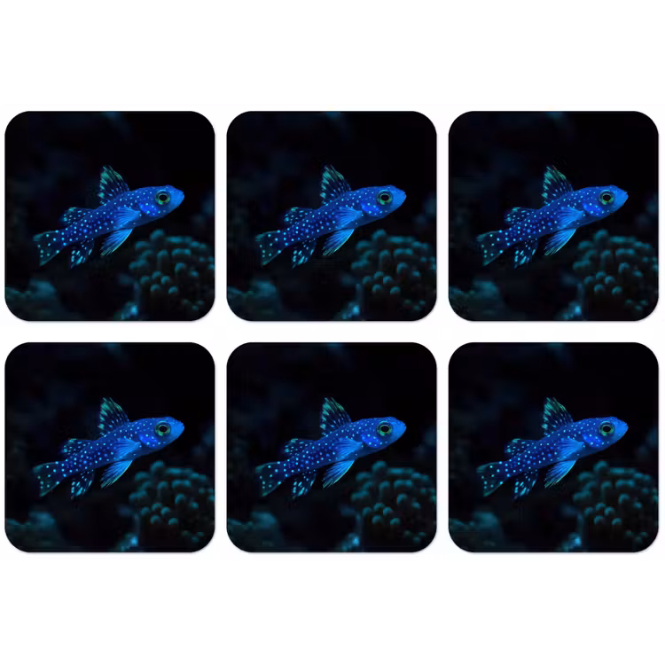 Vis - Stippen - Koraal - Blauw onderzetter kurk middel -zkaufland3dotto