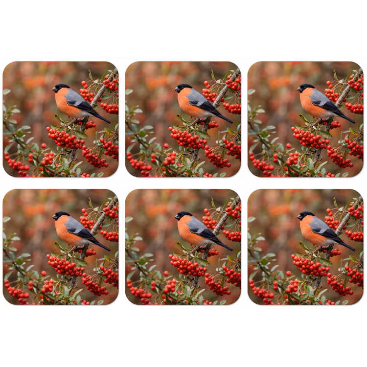 Goudvink - Bessen - Herfst - Natuur - Kleurrijk onderzetter kurk middel -zkaufland3dotto