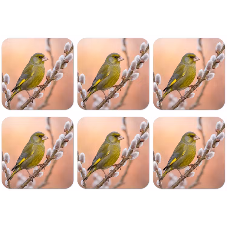 Groenling - Katjes - Lente - Natuur - Zacht onderzetter kurk middel -zkaufland3dotto