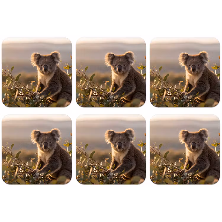 Koala - Bladeren - Ochtendlicht onderzetter kurk middel -zkaufland3dotto
