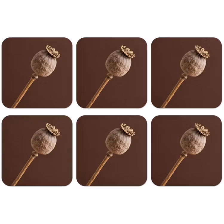 Papaverbol - Droogbloem - Bruin - Minimalistisch onderzetter kurk middel -zkaufland3dotto