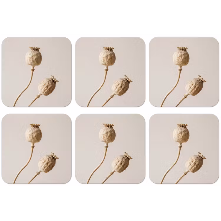 Papaverbollen - Droogbloemen - Minimalistisch - Beige - Rustig onderzetter kurk middel -zkaufland3dotto