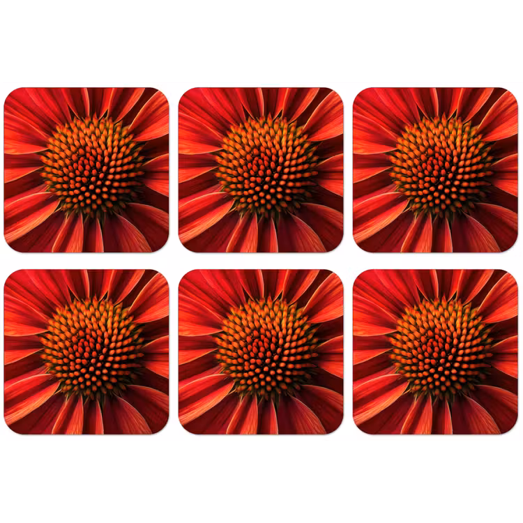 Close up - Bloem- Rood onderzetter kurk middel -zkaufland3dotto