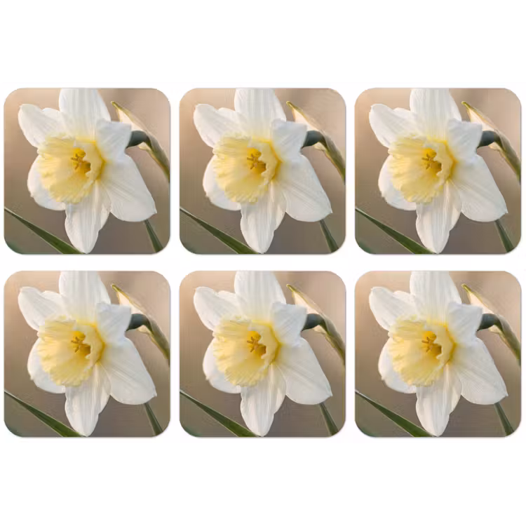 Narcis - Bloem - Minimalistisch onderzetter kurk middel -zkaufland3dotto
