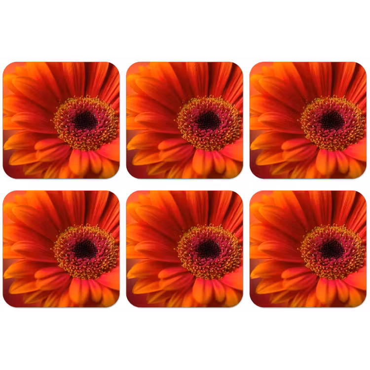 Oranje - Gerbera - Intens onderzetter kurk middel -zkaufland3dotto