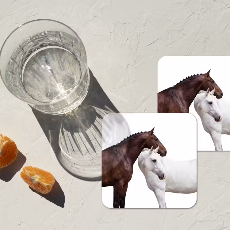 Paard - Modern - Balans onderzetter kurk middel -sfeer4