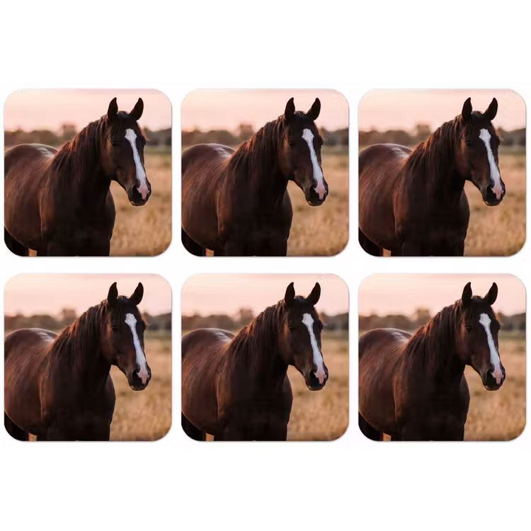 Paard - Zonsondergang - Bruin onderzetter kurk middel -zkaufland3dotto