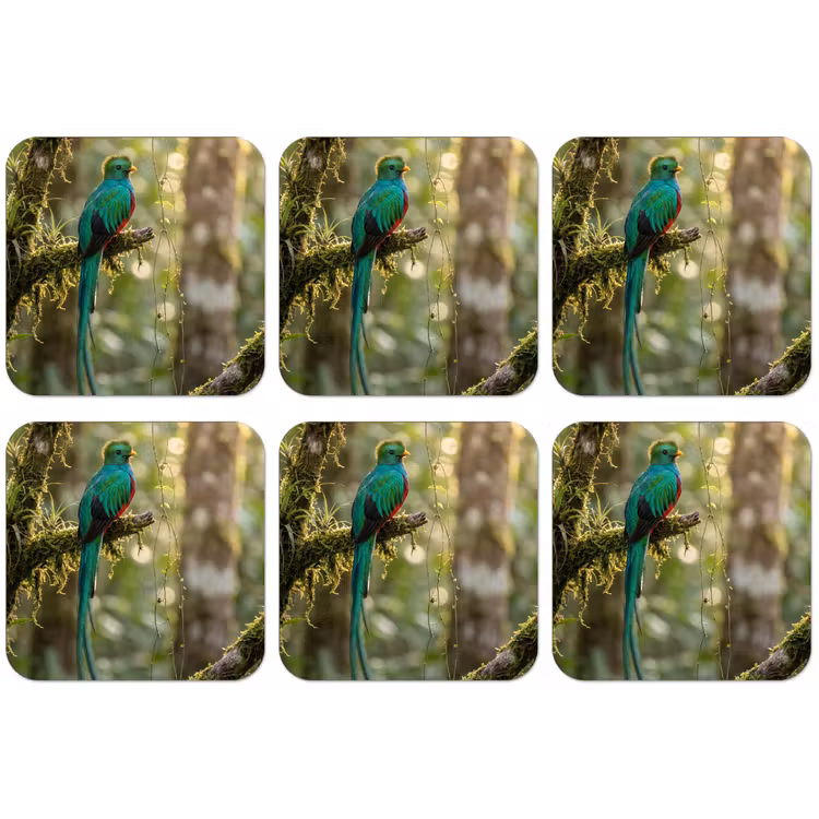 Quetzal - Jungle - Natuur - Groen onderzetter kurk middel -zkaufland3dotto