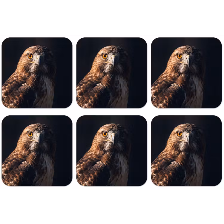 Roofvogel - Buizerd - Bruin onderzetter kurk middel -zkaufland3dotto