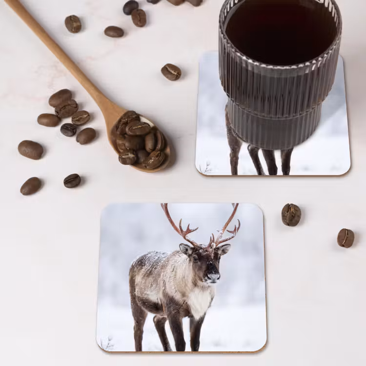 Rendier - Gewei - Toendra - Sneeuw - Wild onderzetter kurk middel -sfeer2