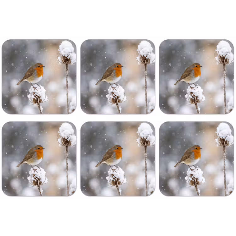 Roodborstje - Gedroogde bloem - Sneeuw - Winter - Vertederend onderzetter kurk middel -zkaufland3dotto