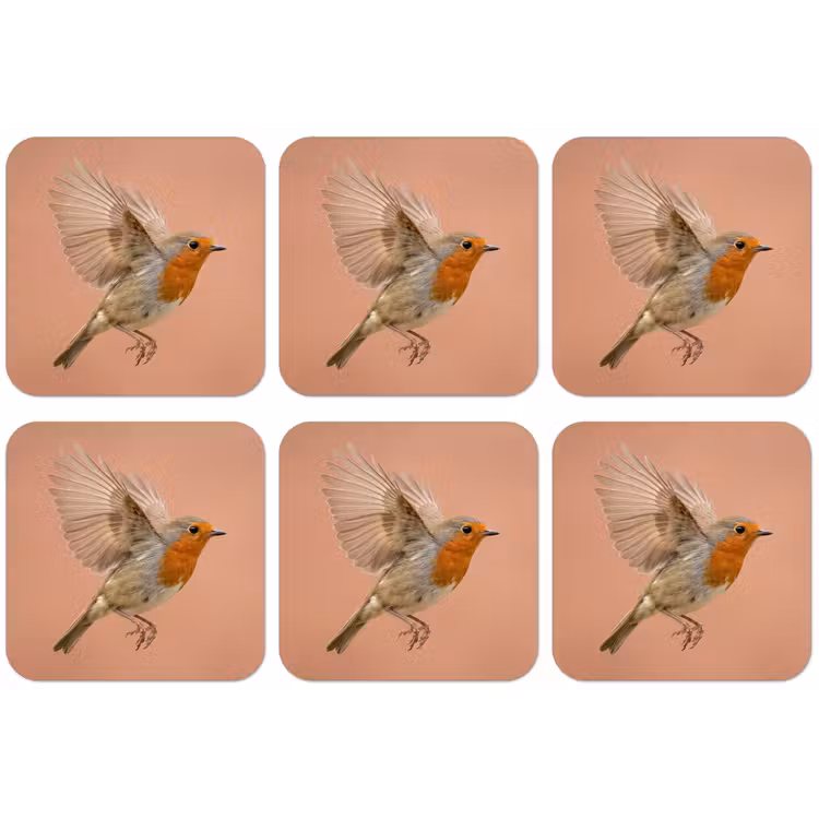 Roodborst - Natuur - Roze onderzetter kurk middel -zkaufland3dotto