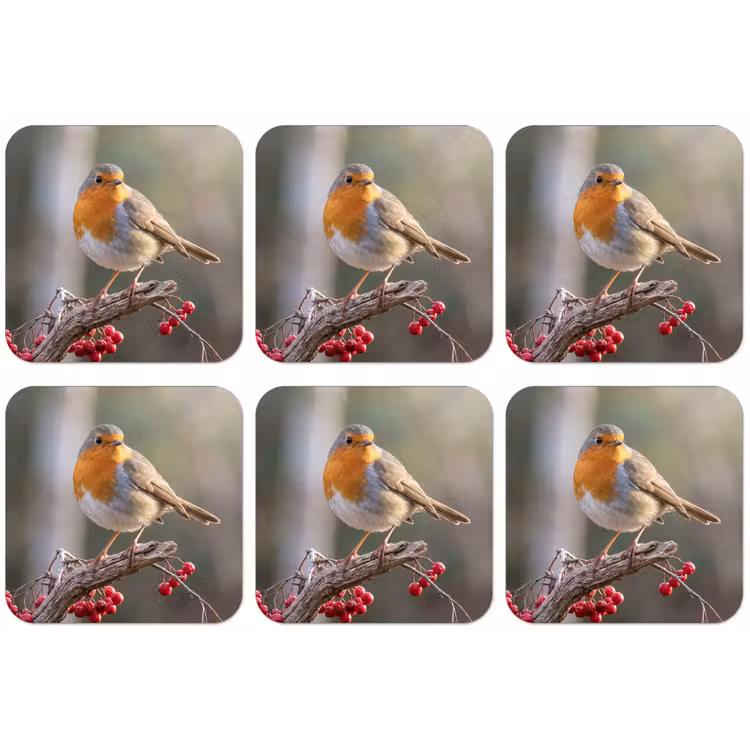 Roodborst - Tak - Bessen - Natuur onderzetter kurk middel -zkaufland3dotto