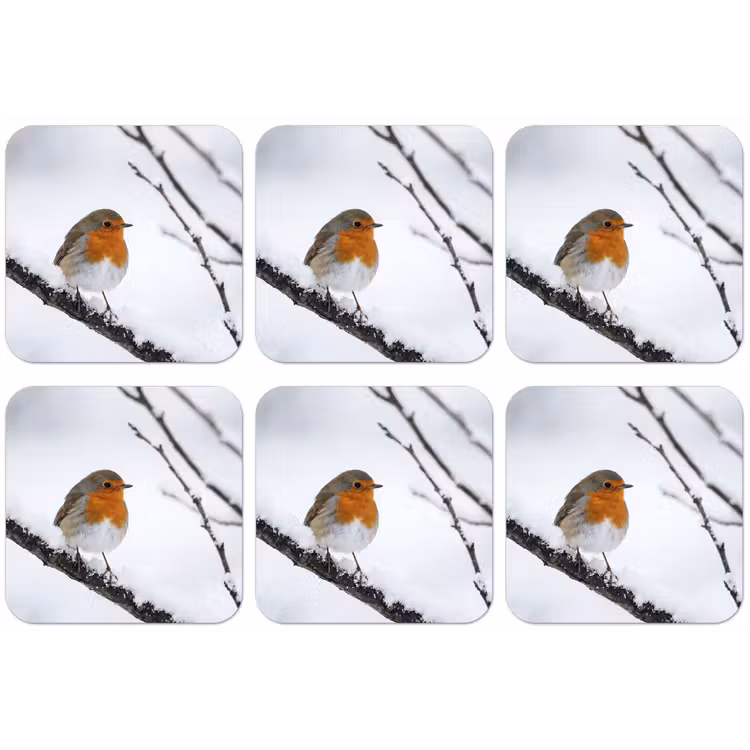 Roodborstje - Tak - Sneeuw - Winter - Levendig onderzetter kurk middel -zkaufland3dotto