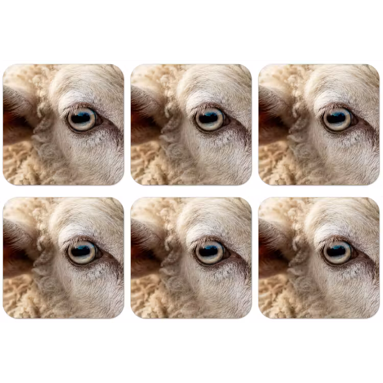 Schaap - Oog - Wit onderzetter kurk middel -zkaufland3dotto