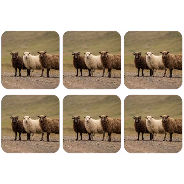 Schapen - Bruin - Wit - Grindpad onderzetter kurk middel -zkaufland3dotto
