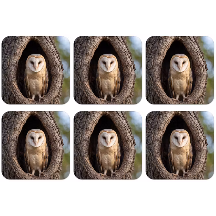Kerkuil - Boom - Natuur - Bruin onderzetter kurk middel -zkaufland3dotto