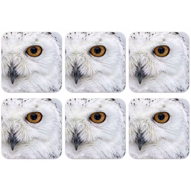 Sneeuwuil - Oog - Wildlife - Wit onderzetter kurk middel -zkaufland3dotto