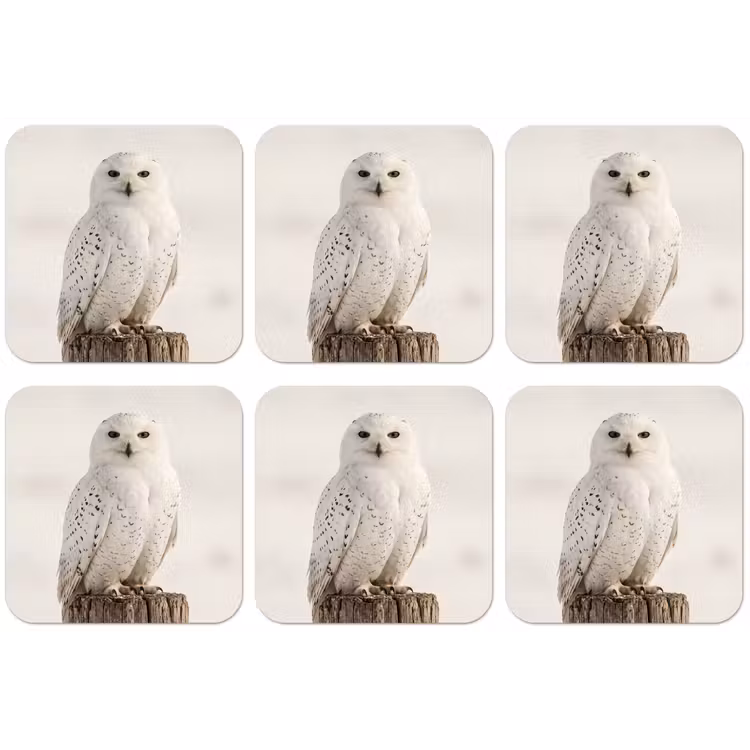 Sneeuwuil - Paal - Winter - Portret - Majestueus onderzetter kurk middel -zkaufland3dotto