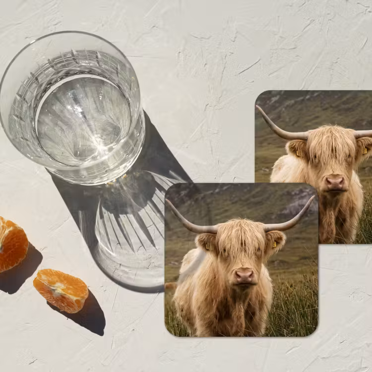 Schotse hooglander - Bergen - Grasveld onderzetter kurk middel -sfeer4