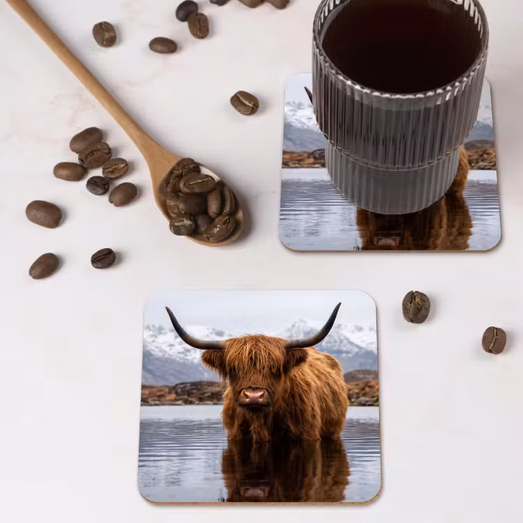 Schotse hooglander - Bruin - Water onderzetter kurk middel -sfeer2
