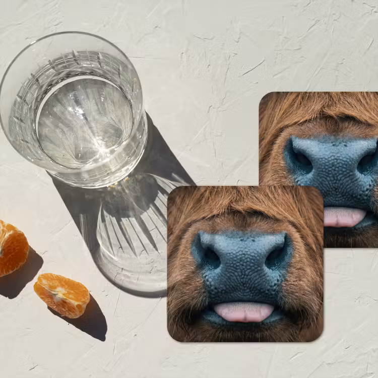 Schotse hooglander - Neus - Bruin onderzetter kurk middel -sfeer4