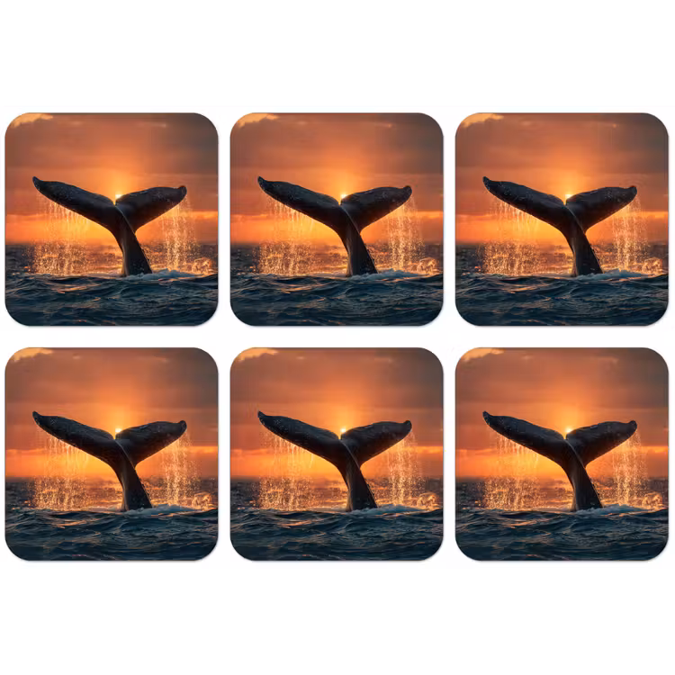 Walvis staart - Water - Zonsondergang onderzetter kurk middel -zkaufland3dotto