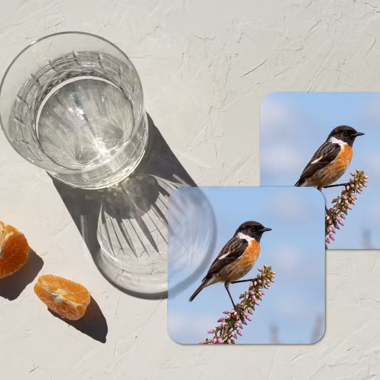 Roodborsttapuit - Heide - Paars - Natuur - Sfeervol onderzetter kurk middel -sfeer4