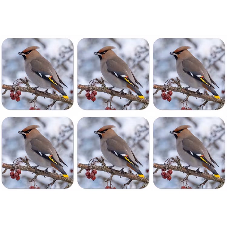 Pestvogel - Bessen - Winter - Natuur onderzetter kurk middel -zkaufland3dotto