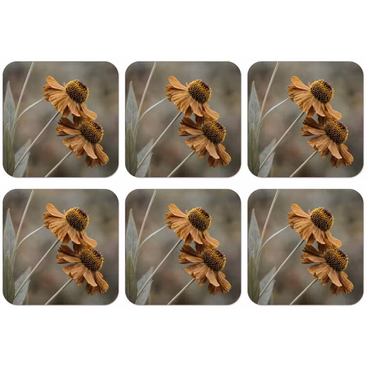 Zonnehoed - Droogbloemen - Geel - Warm onderzetter kurk middel -zkaufland3dotto