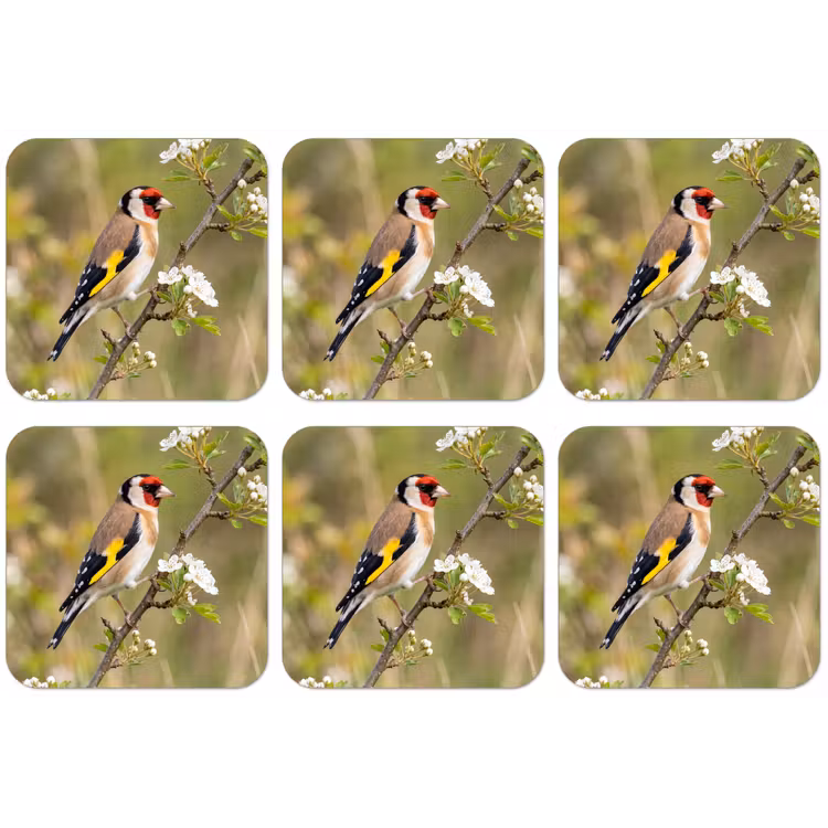Putter - Bloesem - Lente - Natuur - Kleurrijk onderzetter kurk middel -zkaufland3dotto