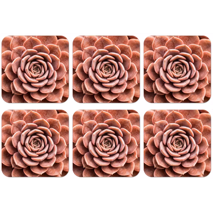 Vetplant - Organisch - Roze onderzetter kurk middel -zkaufland3dotto