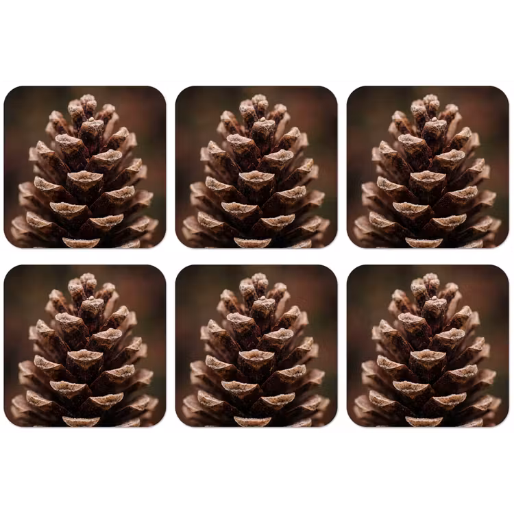 Dennenappel - Bos - Herfst - Bruin - Sfeervol onderzetter kurk middel -zkaufland3dotto